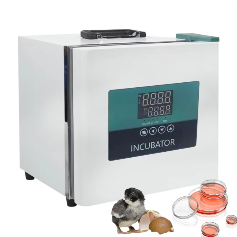 Medical Lab Microbiology - Incubatore Portatile da Laboratorio per Veicoli