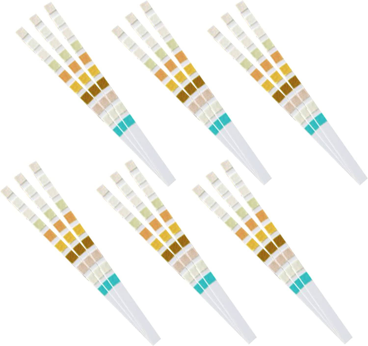 URS-10T strisce reattive per U - Urinalysis Reagent Strip recensione e prezzo