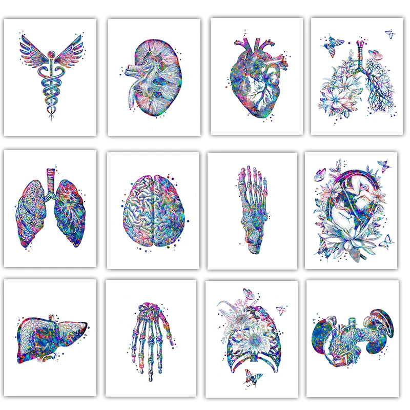 Poster Anatomico Medico con Or - Medical Lab Pictures recensione e prezzo