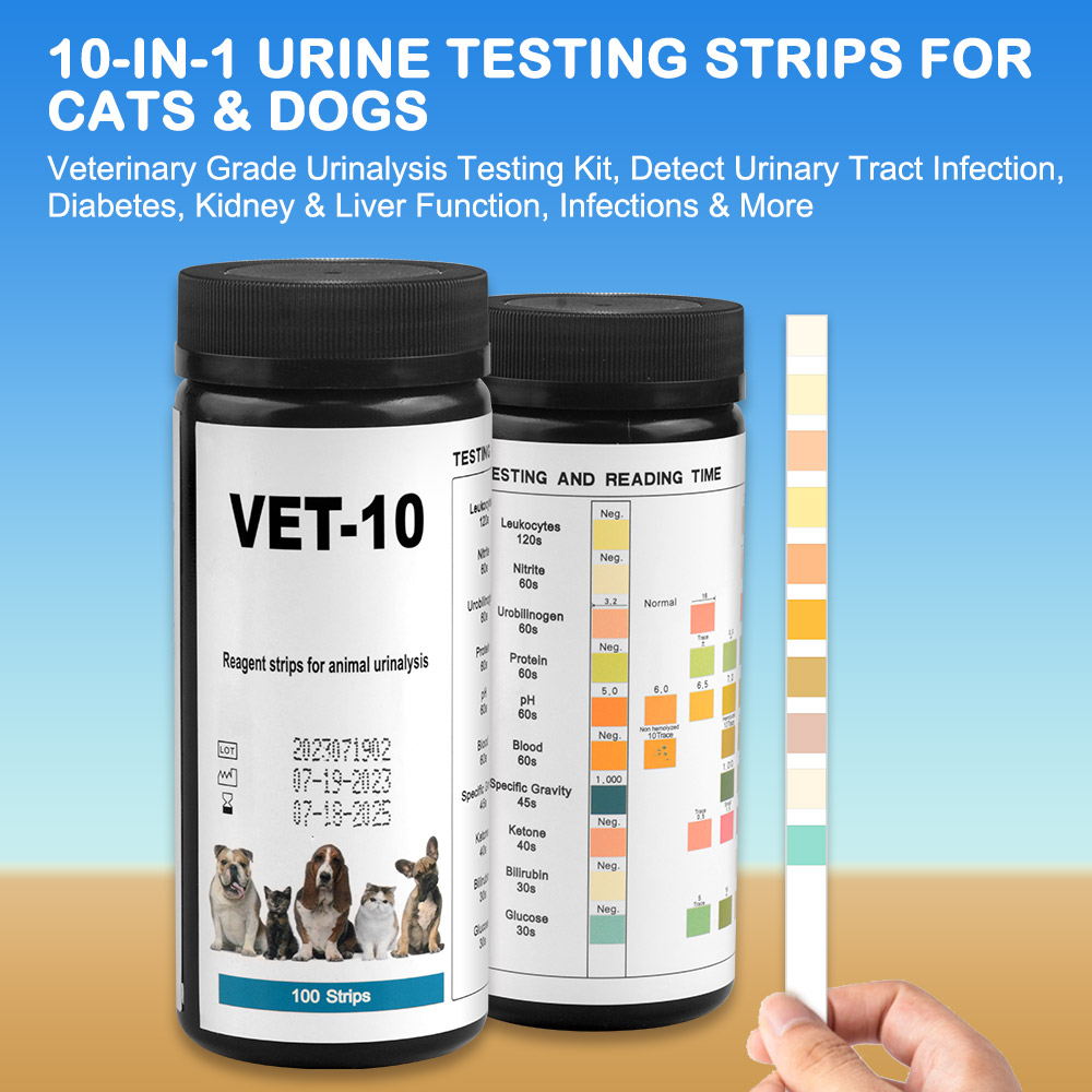 Strisce reattive per analisi d - Urinalysis Reagent Strip recensione e prezzo