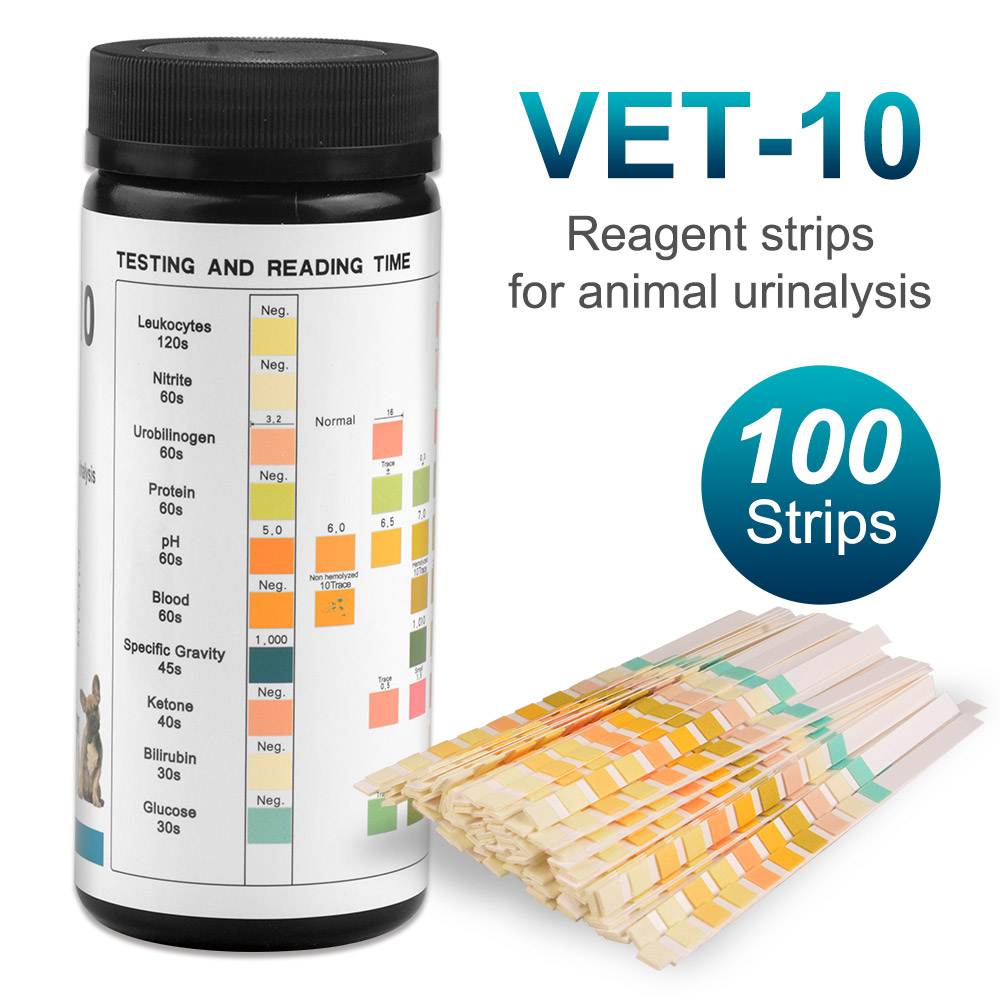 Strisce reattive per analisi d - Urinalysis Reagent Strip recensione e prezzo